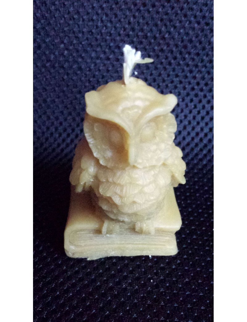 C140 Owl