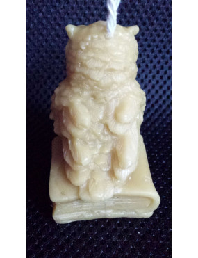 C140 Owl