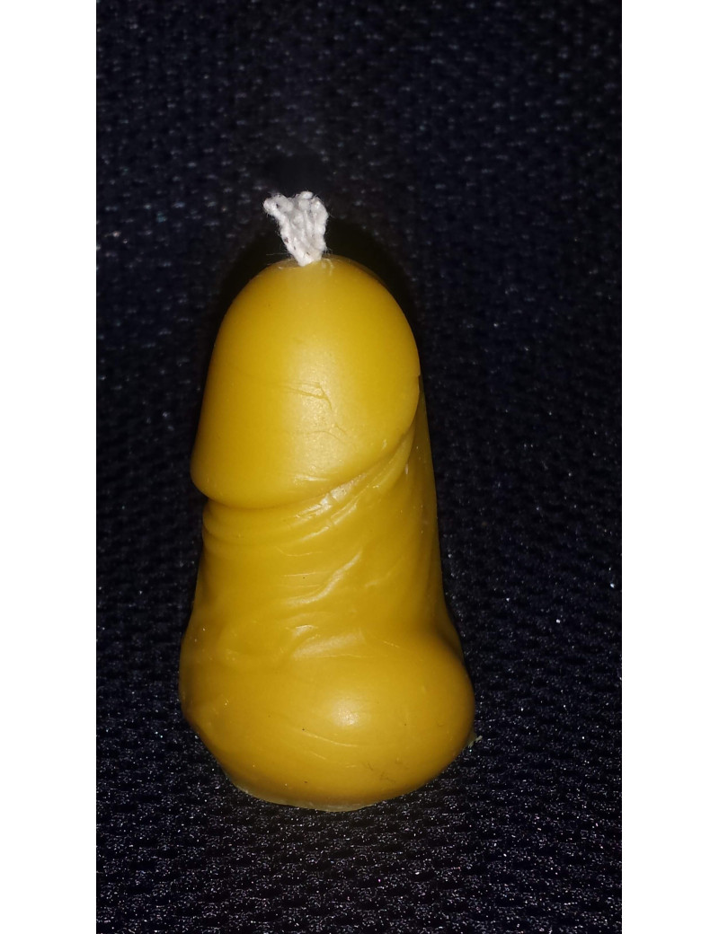 C172  Penis