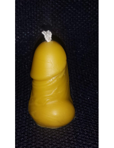 C172  Penis
