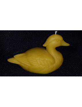 C182  Duck
