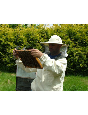 Bee nucleus 2027 only DEPOSIT  (NON REFUNDABLE)