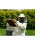 Bee nucleus 2027 only DEPOSIT  (NON REFUNDABLE)