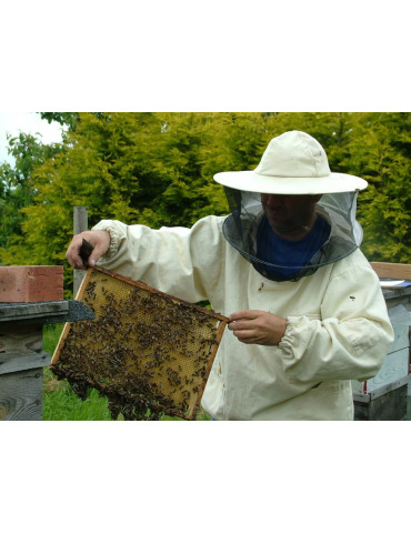 Bee Course  BC2 26.04.2026