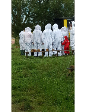 Bee Course  BC2 26.04.2026