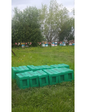 Bee nucleus 2027 only DEPOSIT  (NON REFUNDABLE)