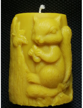 C261 With a squirrel