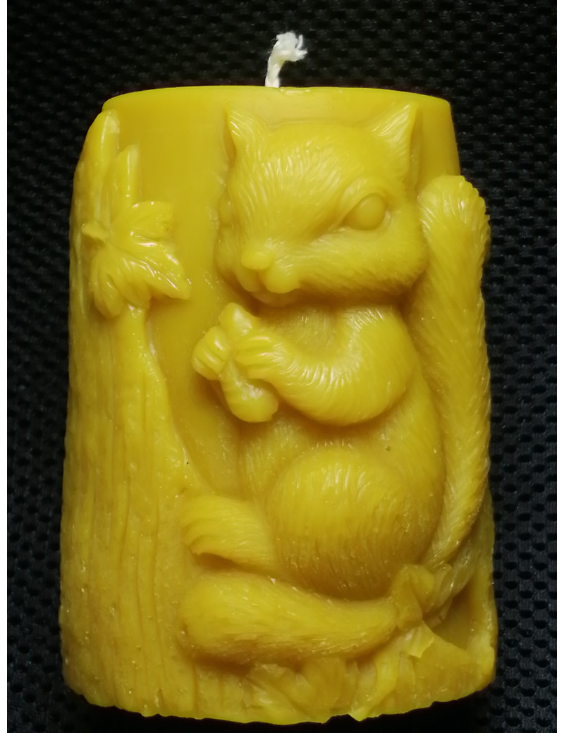 C261 With a squirrel