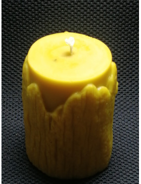 C261 With a squirrel