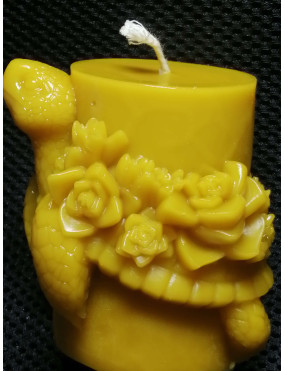 C272  Swimming turtle