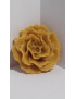 C051 Rose flower