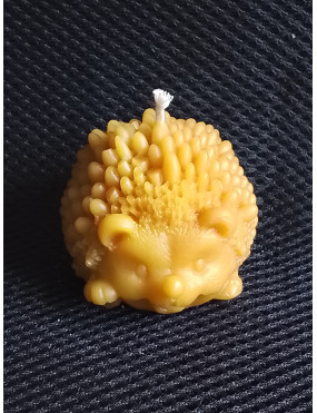 C298 Prickly Hedgehog...