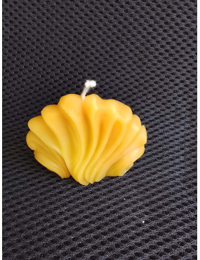 C321 – Seashell Beeswax...