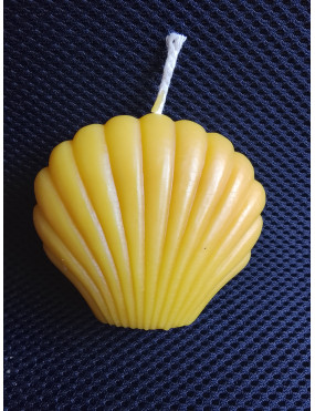 C243 – Seashell Beeswax...