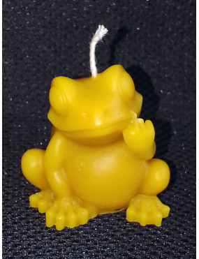 C339 Frog with Gesture...