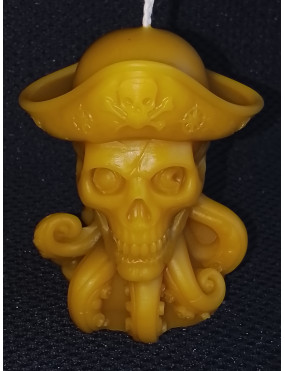 C344 Pirate Octopus
