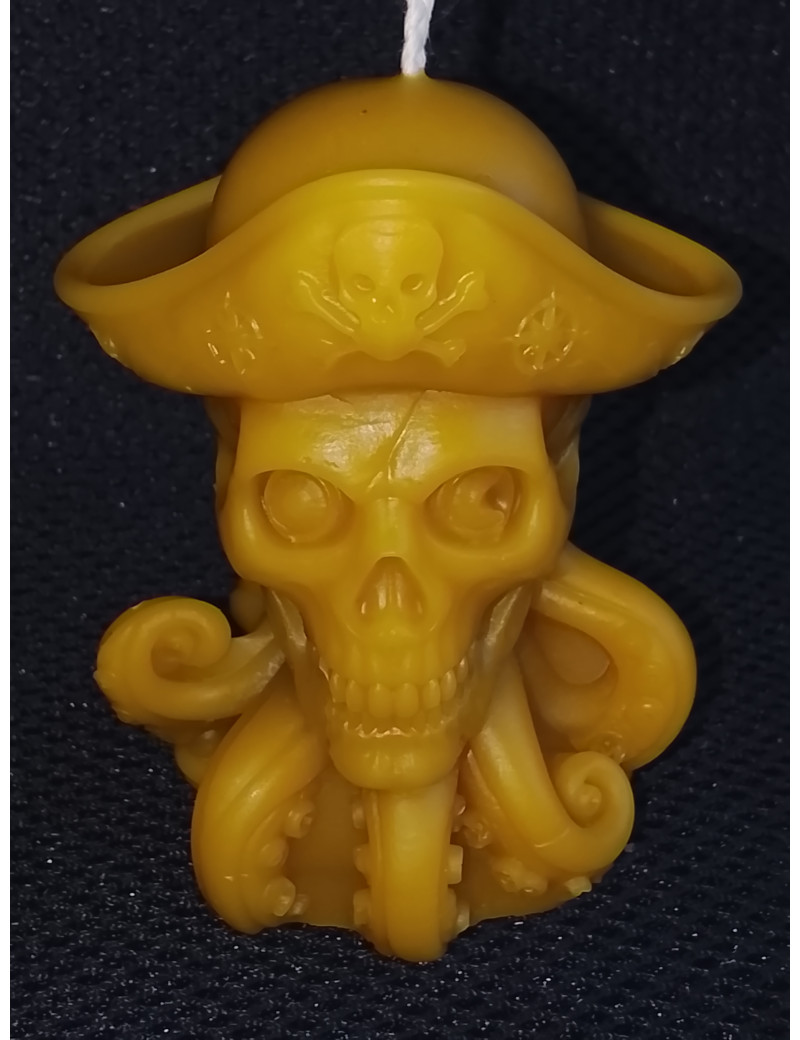 C344 Pirate Octopus