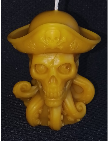 C344 Pirate Octopus