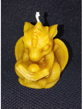 C356 Sitting Dragon Reading...