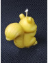 C380 Squirrel with Nut Candle