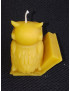 C408 Owl on Book Beeswax Candle