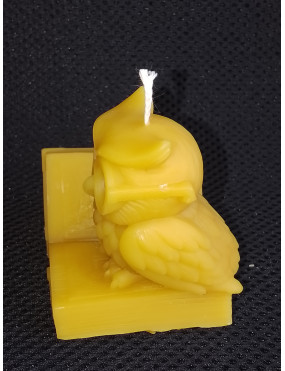 C408 Owl on Book Beeswax Candle