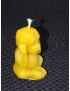 C070  Deaf monkey