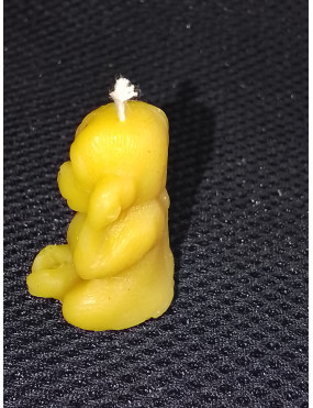 C070  Deaf monkey