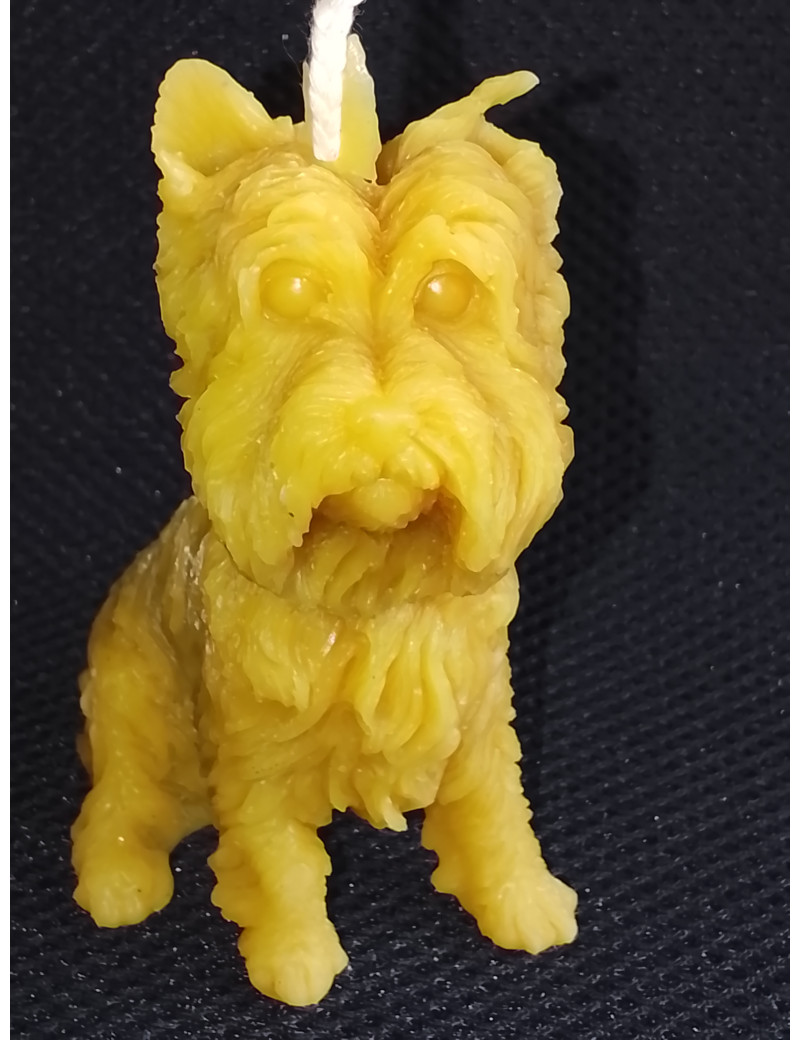 C181 Dog