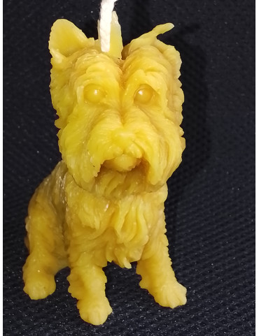 C181 Dog