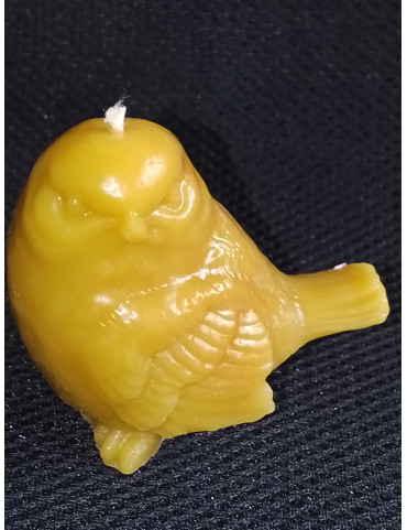C449 Beeswax Sparrow Looking Left