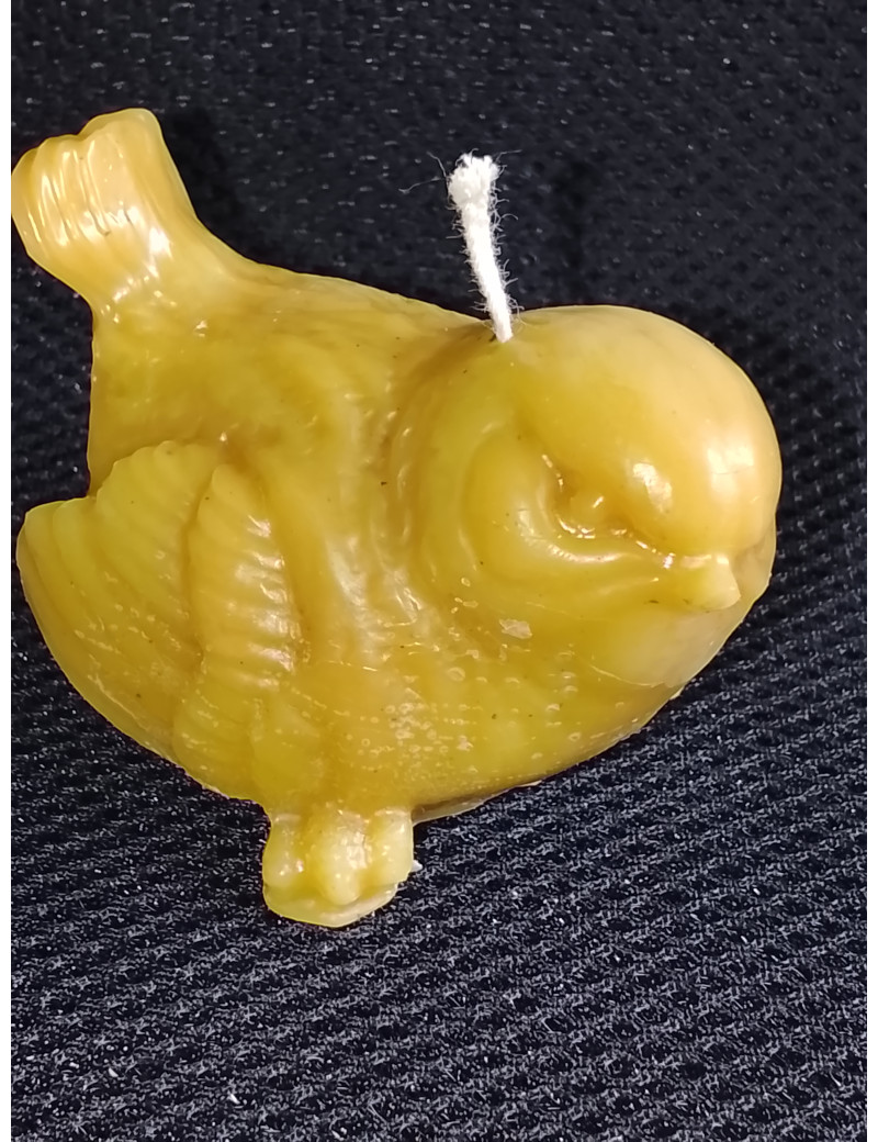 C450 Beeswax Sparrow Looking Right