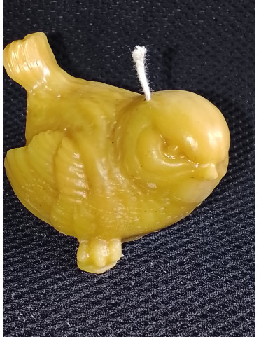 C450 Beeswax Sparrow Looking Right