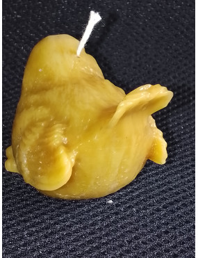 C450 Beeswax Sparrow Looking Right