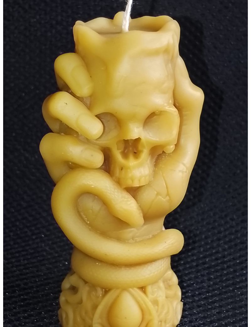 C453 Beeswax Hand with Snake and Skull