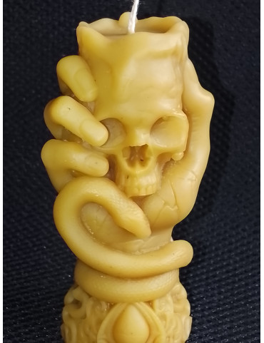 C453 Beeswax Hand with Snake and Skull
