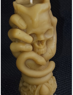 C453 Beeswax Hand with Snake and Skull