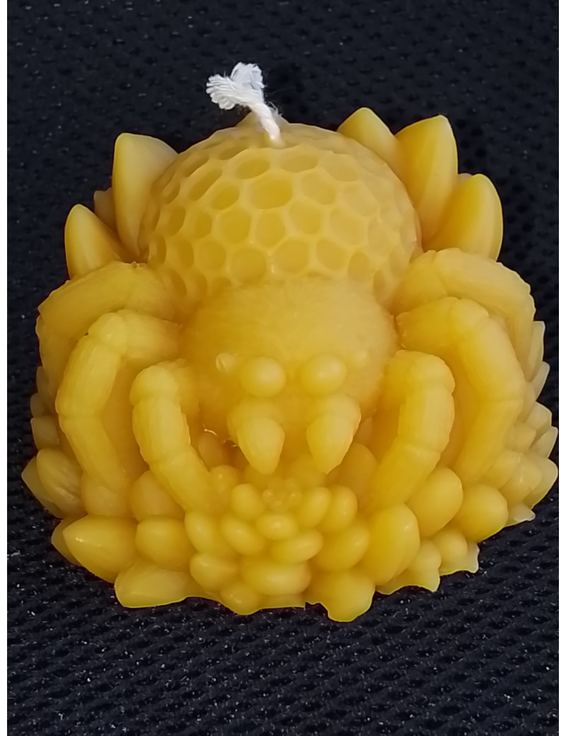 C462 Spider Beeswax Candle