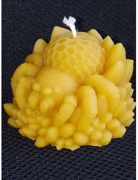 C462 Spider Beeswax Candle
