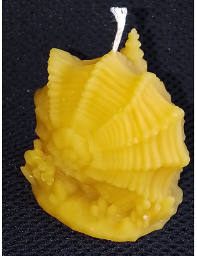 C468 Shell House Beeswax Candle