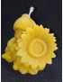 C471 Child in a Hat Holding a Sunflower