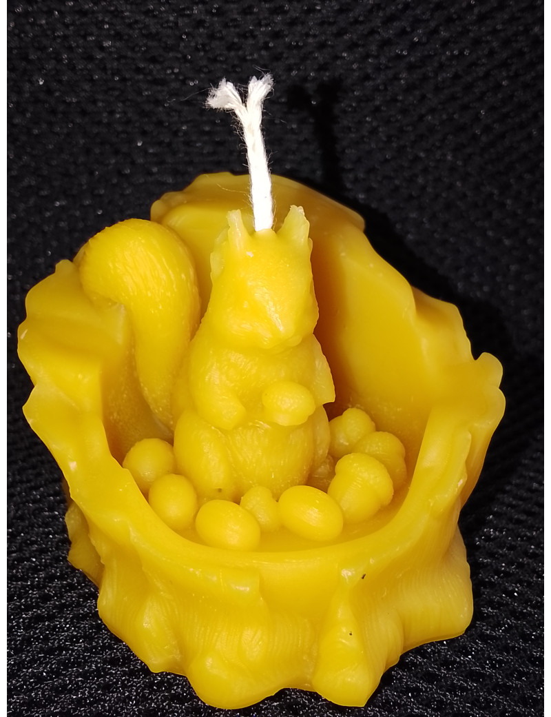 C472 – Squirrel with Nuts in a Nest