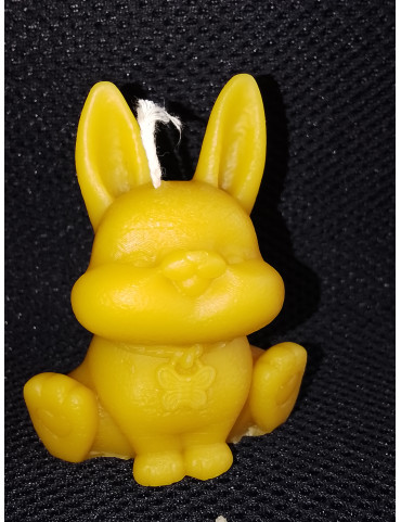 C474 Funny Sitting Rabbit