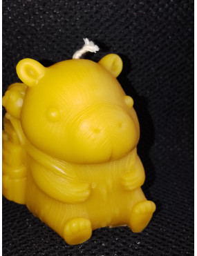 C480 Hippopotamus with a...