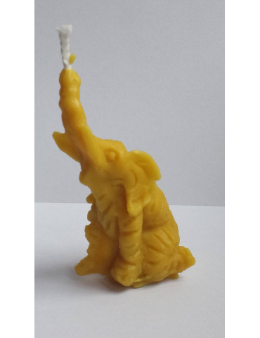 C078  Elephant 2