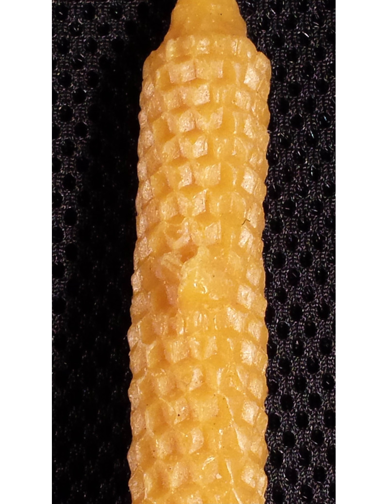 C005 Wax candle with bees