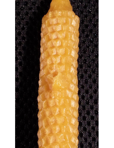 C005 Wax candle with bees