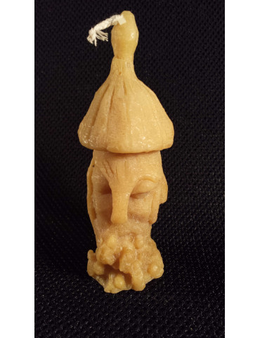 C040  BEEHIVE DZIERZONA