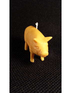 C049  Pig