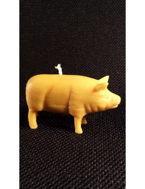 C049  Pig